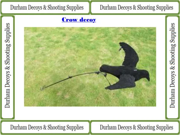 Flying Crow Decoy