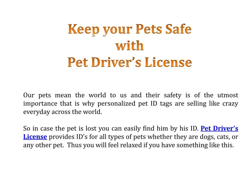 keep your pets safe with pet driver s license