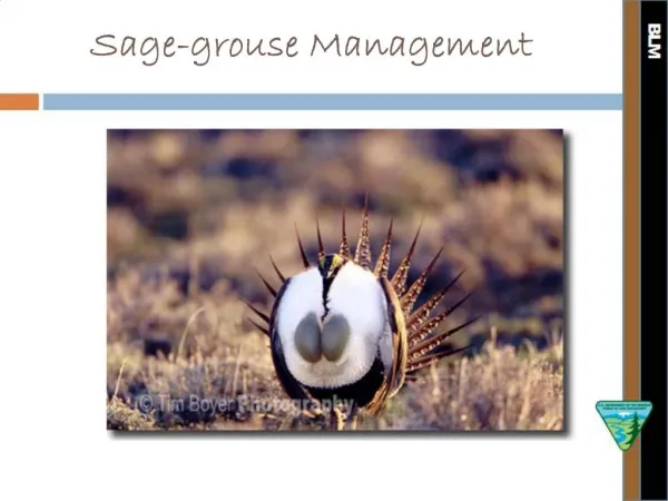 Sage-grouse Management