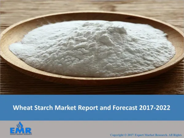 Wheat Starch Market | Size | Share | Industry Report 2017-2022