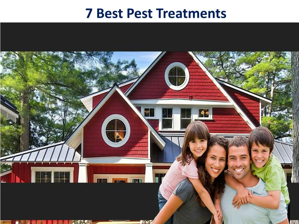 7 best pest treatments