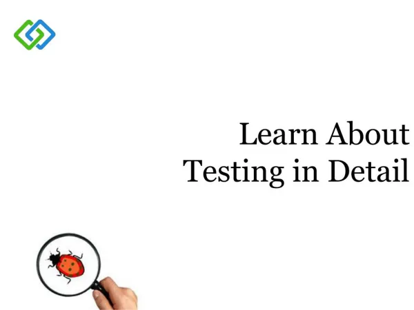 Learn About Testing in Detail
