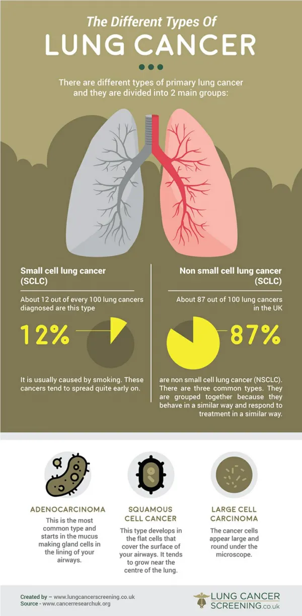 The Different Types Of Lung Cancer