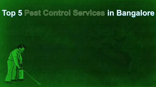 Pest Control Services Bangalore