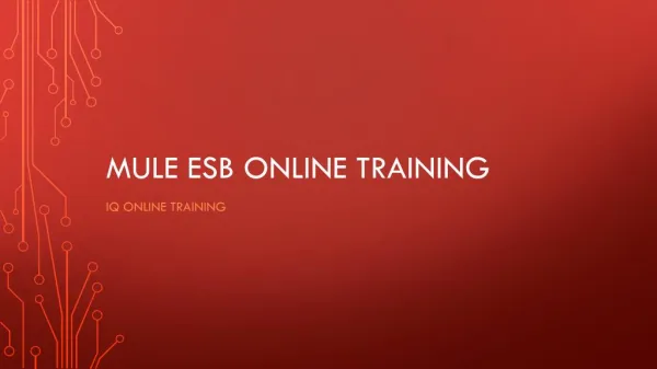 Mule ESB Online Training | IQ Online Training