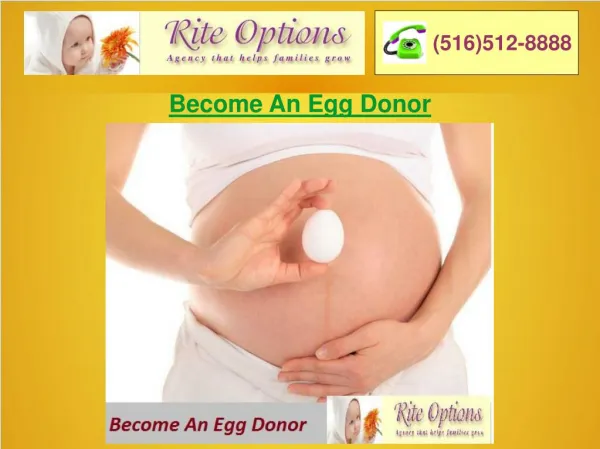 Become An Egg Donor