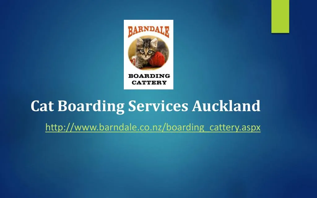 cat boarding services auckland