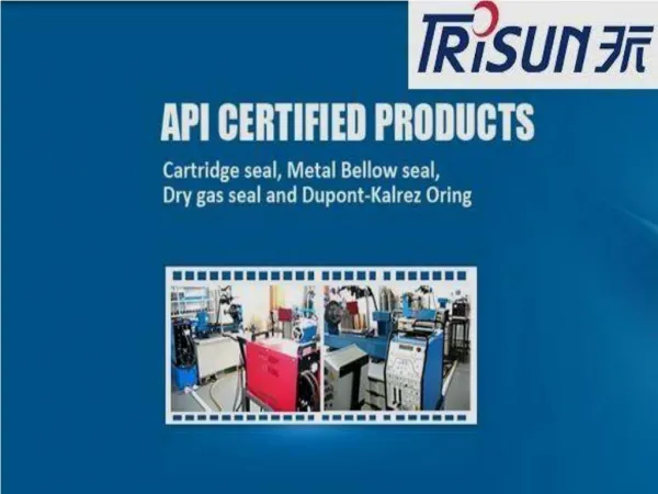 APV Pump Seal - Trisun Mechanical Parts