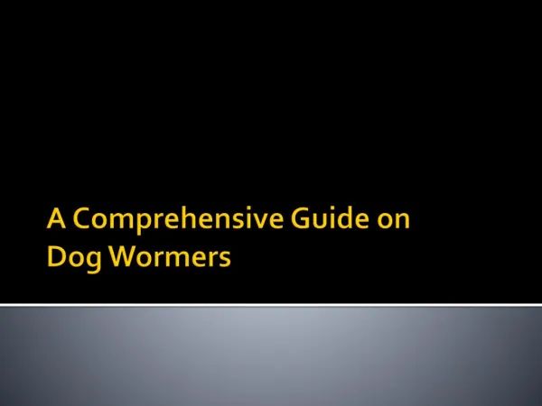A Comprehensive Guide on Dog Wormers