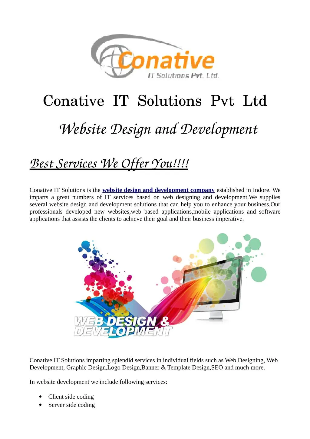 conative it solutions pvt ltd website design