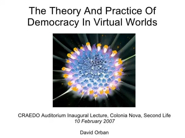 the theory and practice of democracy in virtual