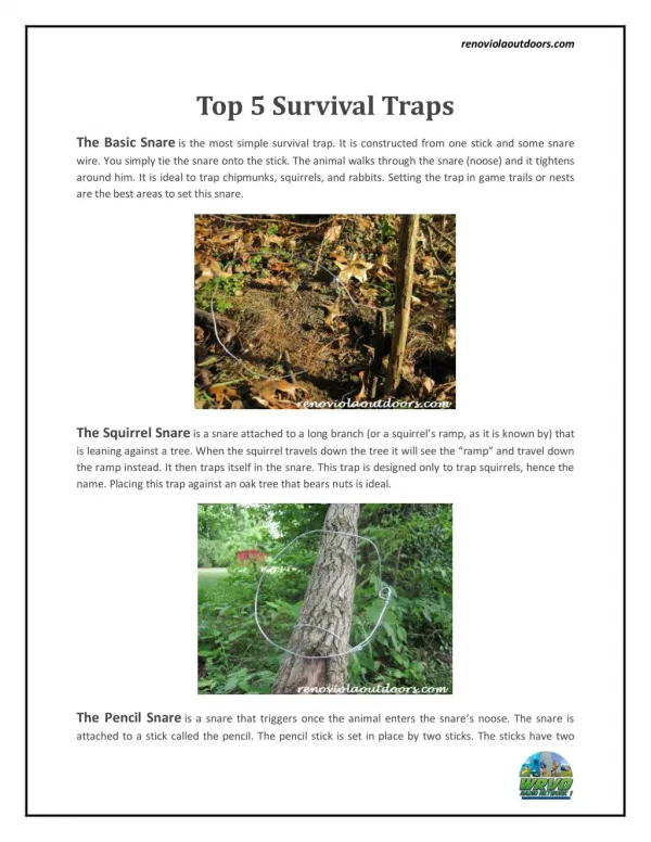 Top Forest Survival Traps : WRVO Radio Network1