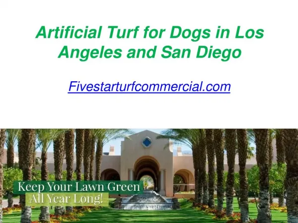 Artificial Turf for Dogs in Los Angeles and San Diego - Fivestarturfcommercial.com