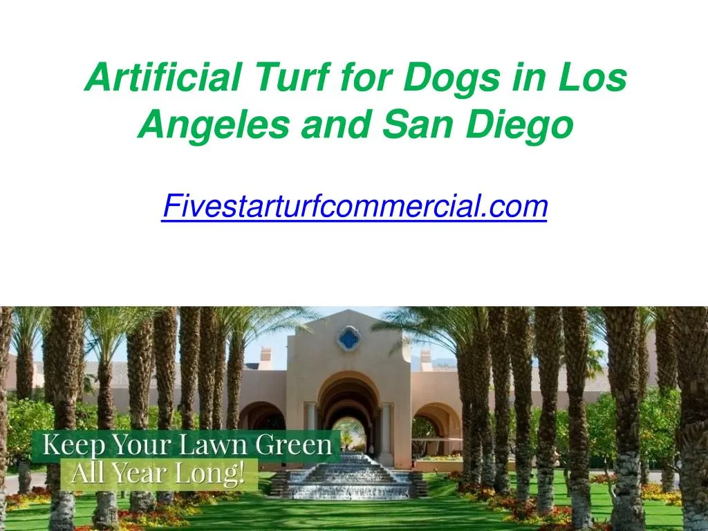 artificial turf for dogs in los angeles and san diego