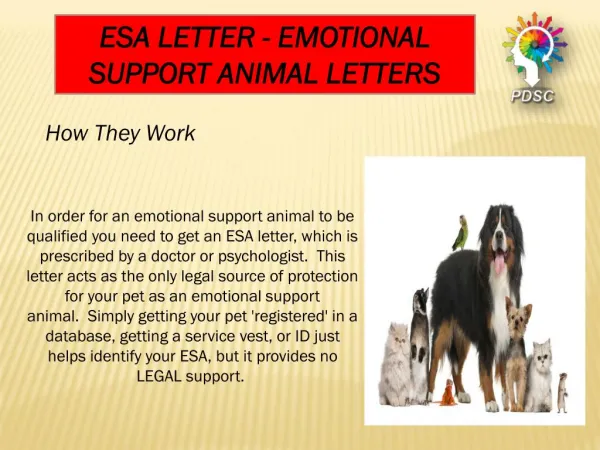 Service animal letter