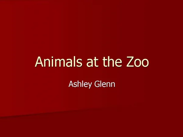 Animals at the Zoo