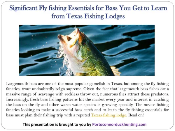 Significant Fly fishing Essentials for Bass You Get to Learn from Texas Fishing Lodges