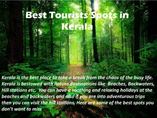 Best Tourists Spots in Kerala