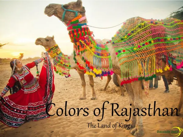 Colors of Rajasthan - The Land of Kings