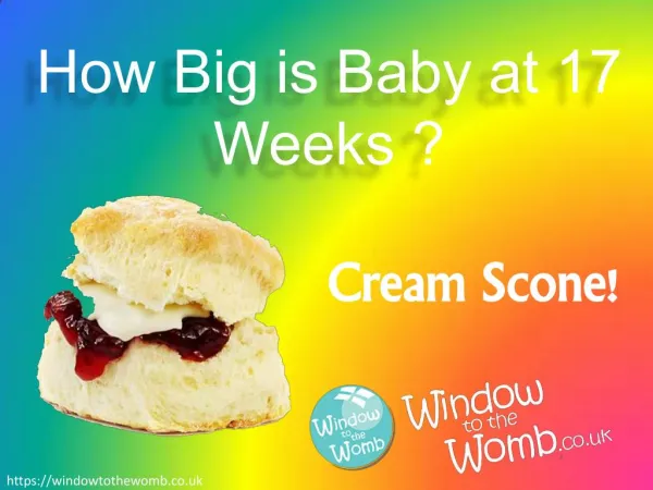 How Big is Baby at 17 Weeks ?