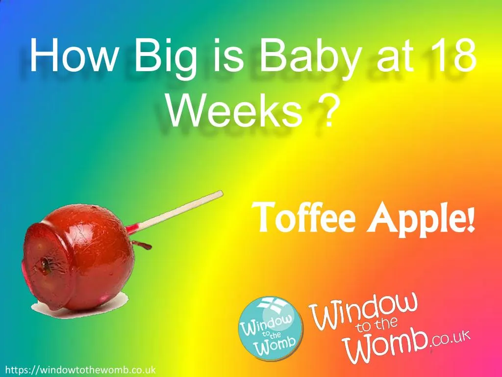 how big is baby at 18 weeks