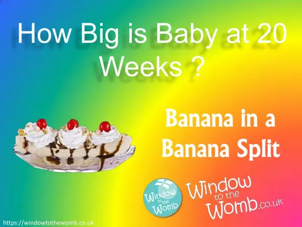 How Big is Baby at 20 Weeks ?