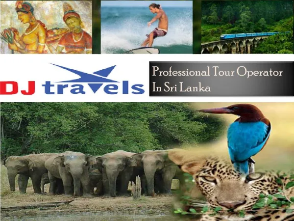 Lot of Excitement & Discounts- Exclusive Sri Lanka Holidays