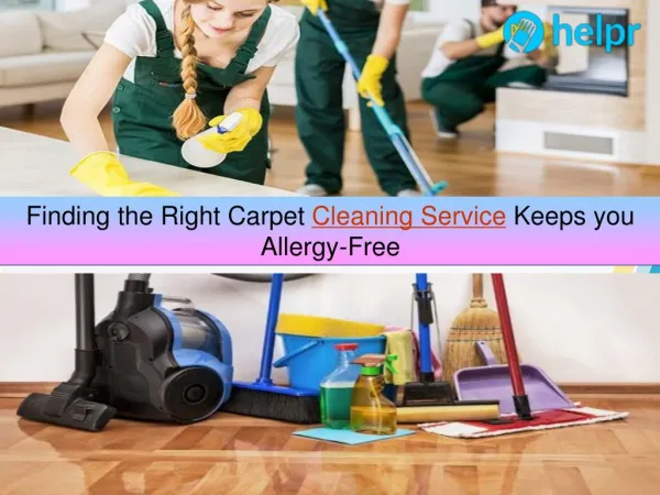Finding the Right Carpet Cleaning Service Keeps you Allergy-Free