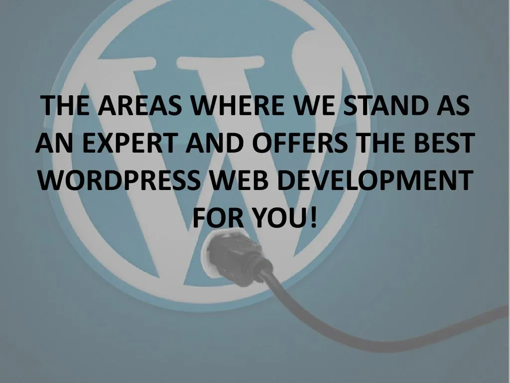 the areas where we stand as an expert and offers the best wordpress web development for you
