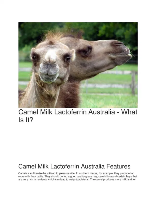 Camel Milk Lactoferrin Australia