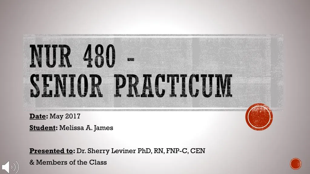 nur 480 senior practicum