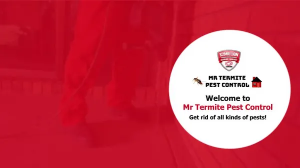 Mr Termite Pest Control