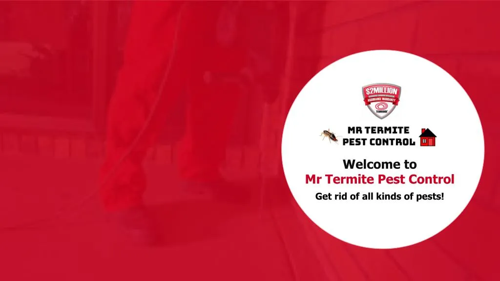 welcome to mr termite pest control