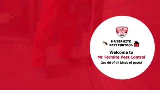 Mr Termite Pest Control - slide 1