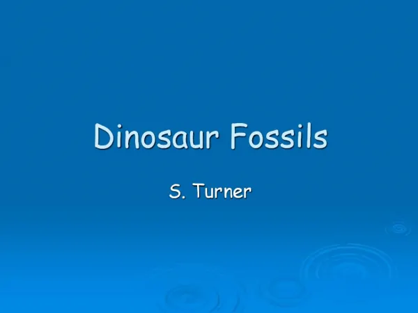 Dinosaur Fossils