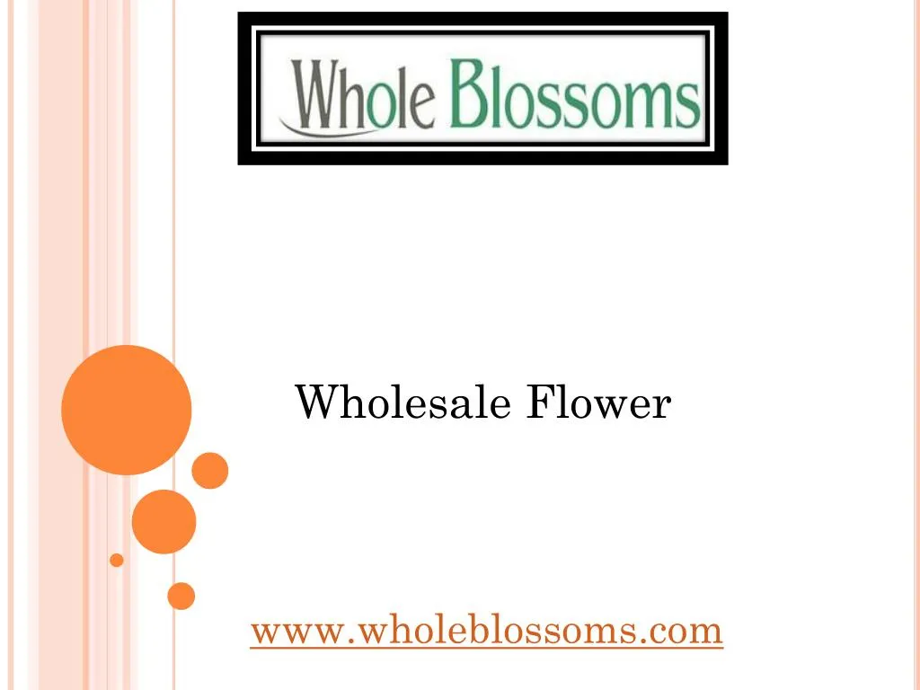 wholesale flower