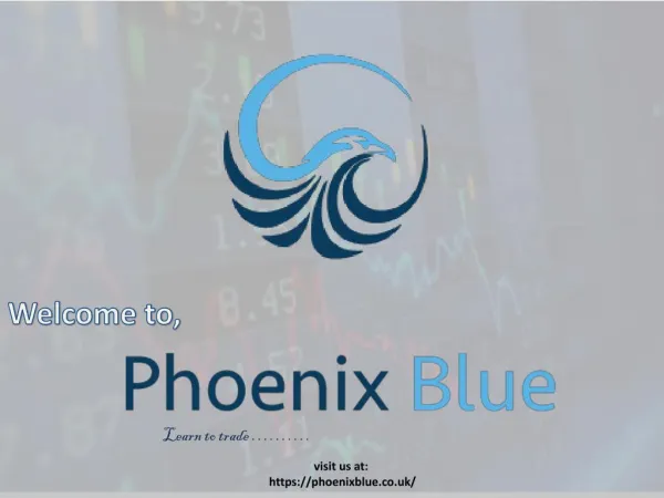 Phoenix Blue Trading training in Bergen