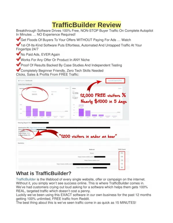 TrafficBuilder Review