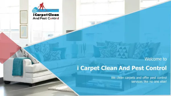 iCarpet Clean and Pest Control