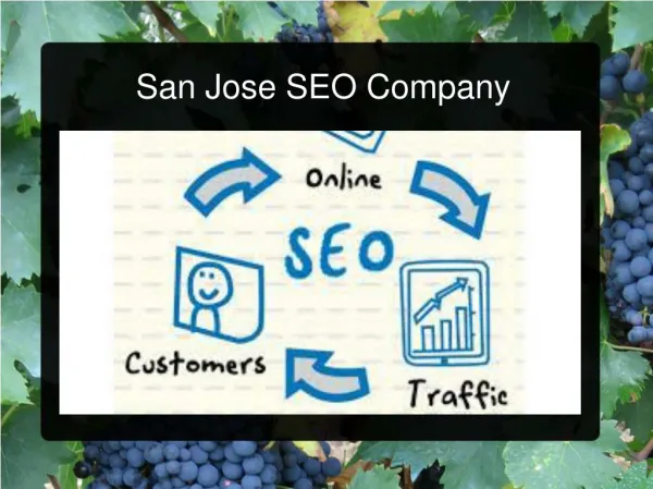 San Jose SEO Company