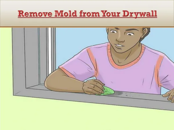 How to Remove Mold from Your Drywall?