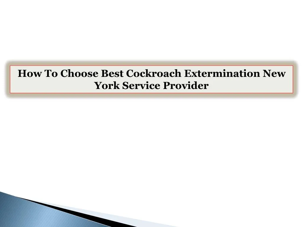 how to choose best cockroach extermination