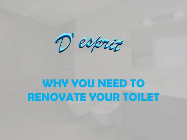 Why Toilet Renovation Most Important Factor in Health