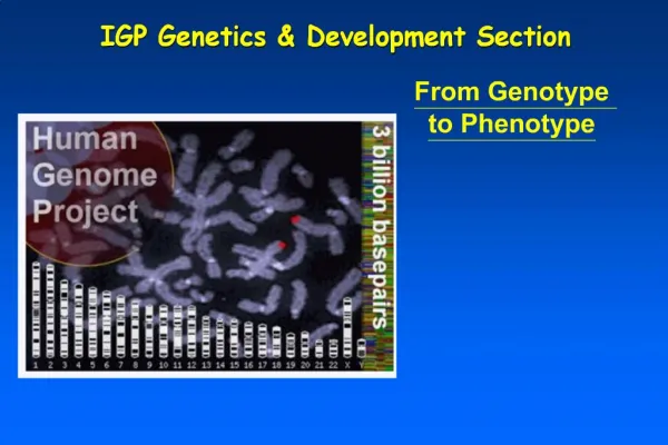 From Genotype to Phenotype