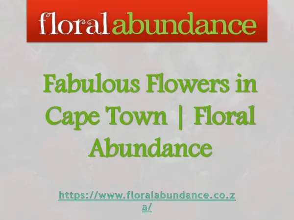 Fabulous Flowers in Cape Town | Floral Abundance