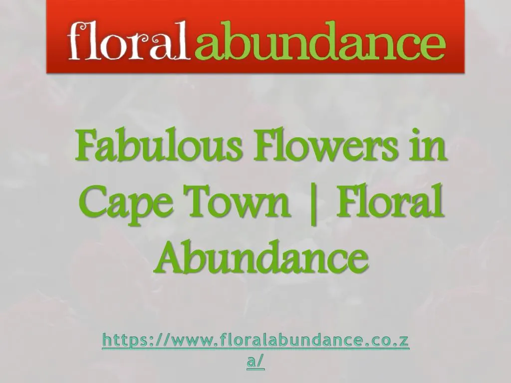 fabulous flowers in cape town floral abundance