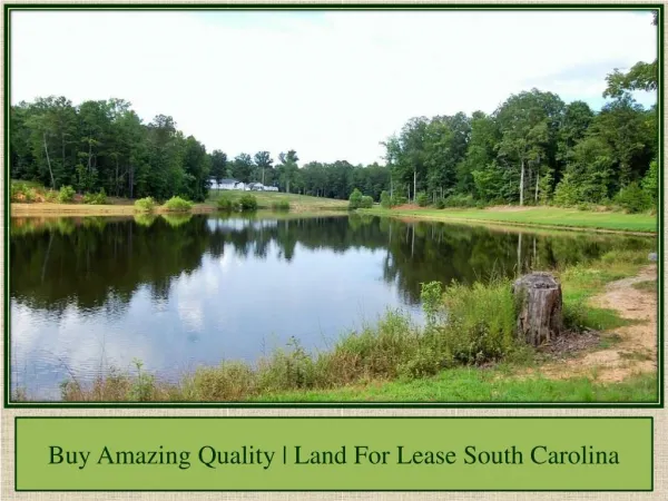 Buy Amazing Quality | Land For Lease South Carolina