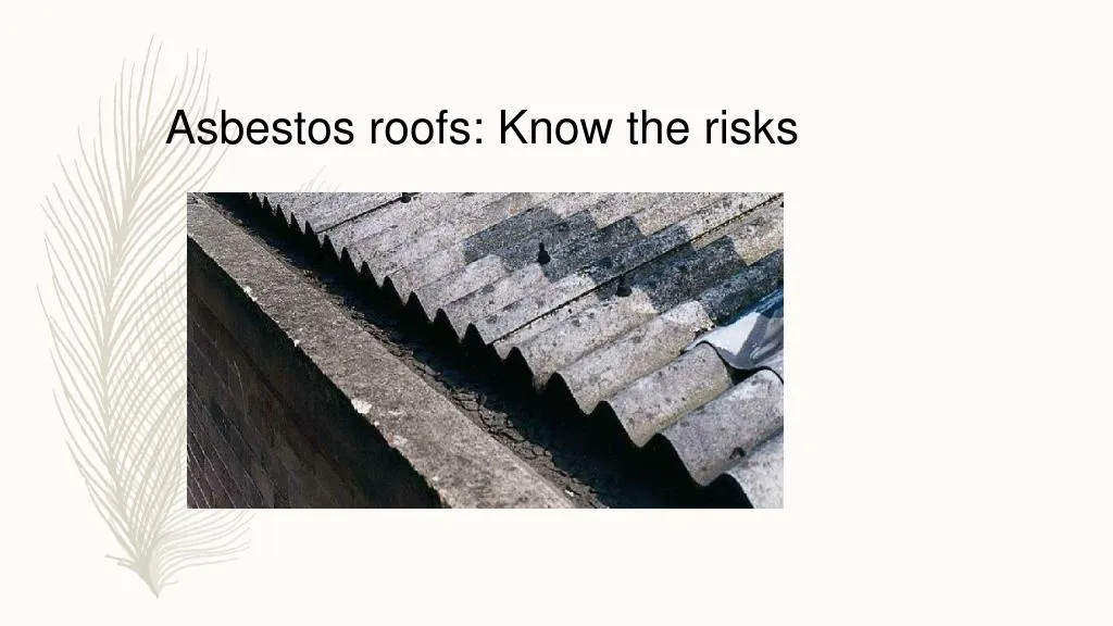 asbestos roofs know the risks