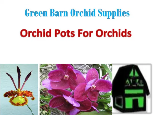 Orchid Pots From Green Barn Orchid Supplies