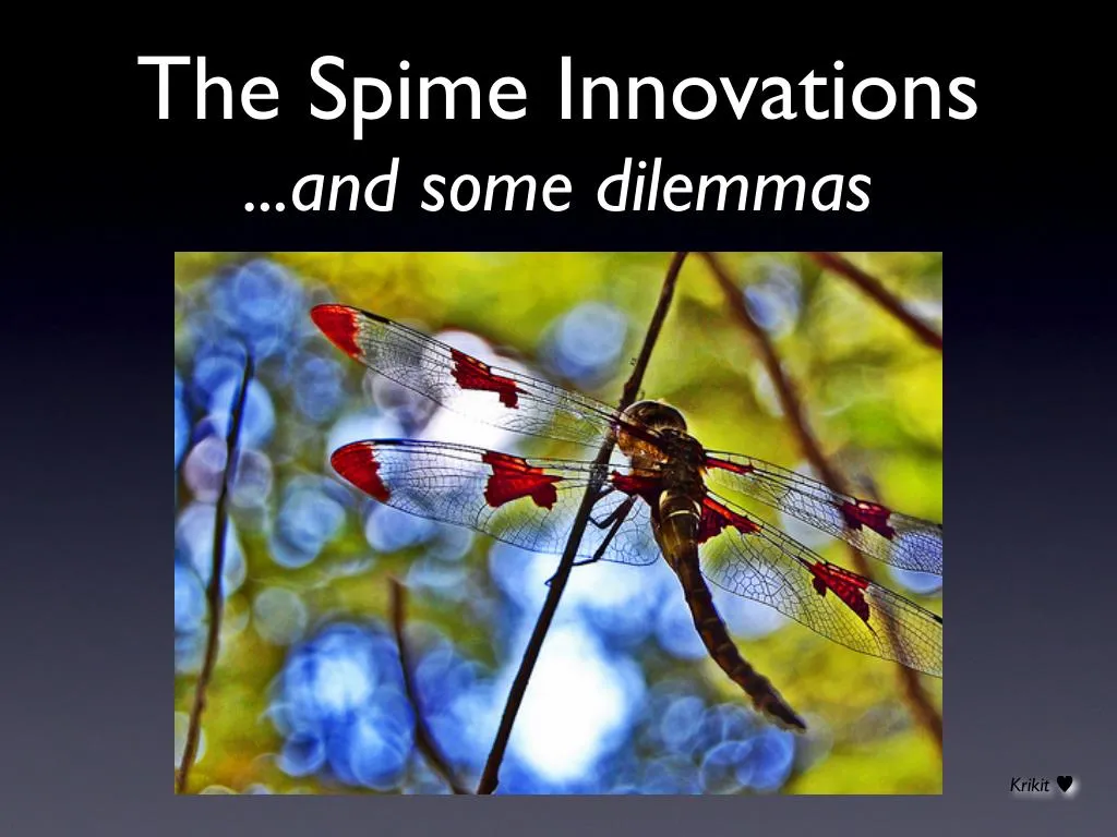 the spime innovations and some dilemmas